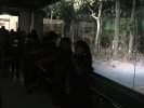 Field Trip class 5 -2017
